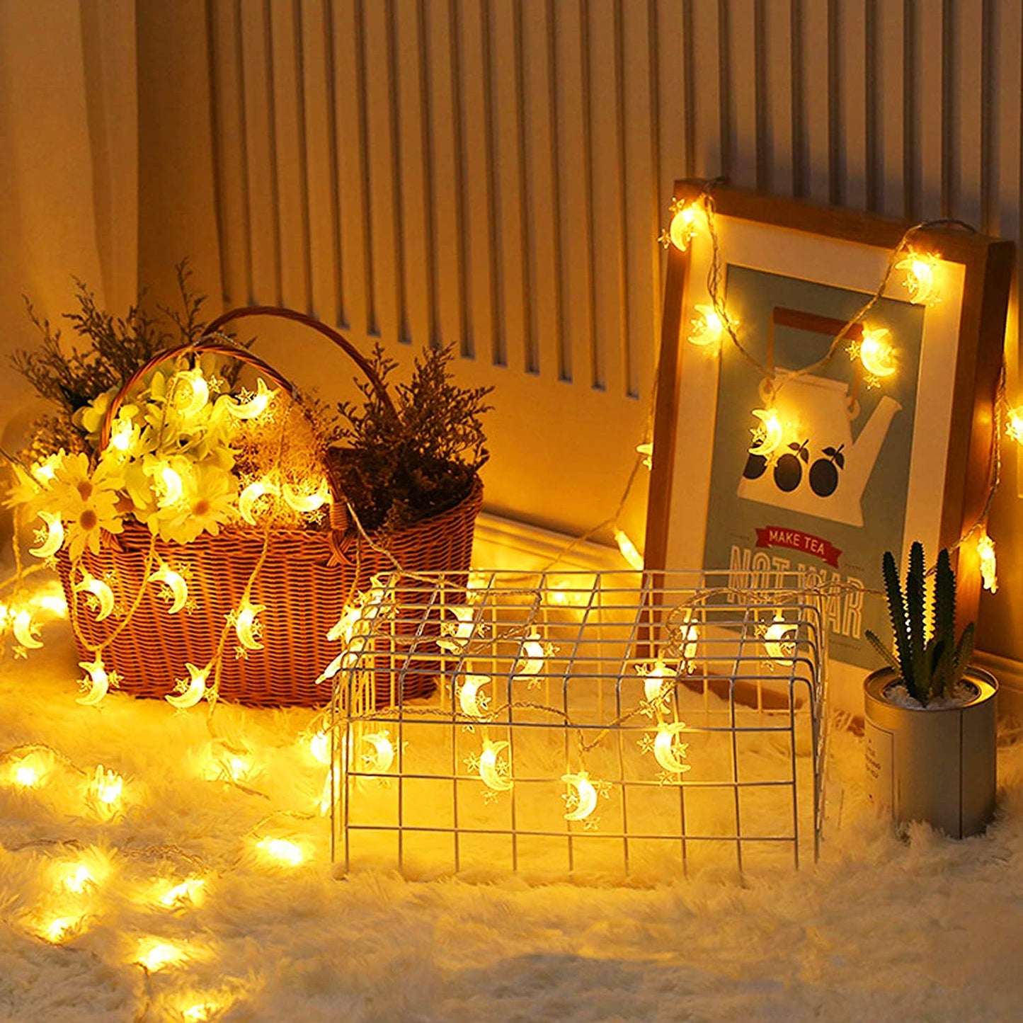 6M 40 Leds Battery Operated Moon String Lights LED Fairy Light with Battery Box