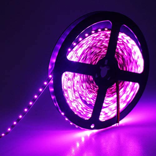 12V 5M 2835 Leds IP65 waterproof led strip