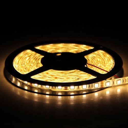 12V 5M 5050 Leds IP65 waterproof led strip