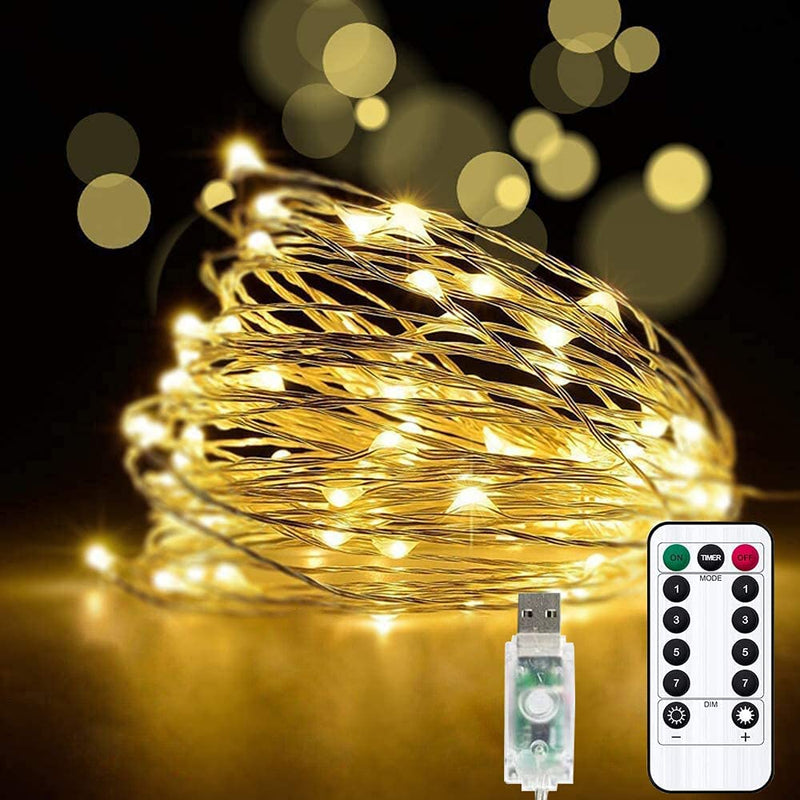 10M 100Leds USB Powered Seed Lights Copper Wire String Lights Fairy String Lights -Silver Wire