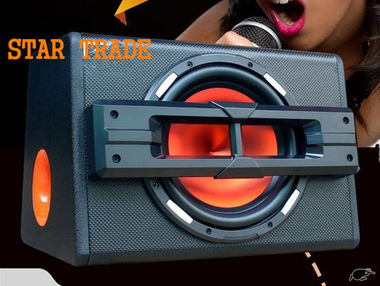 10" ACTIVE SUB/AMP/BOX 1200W